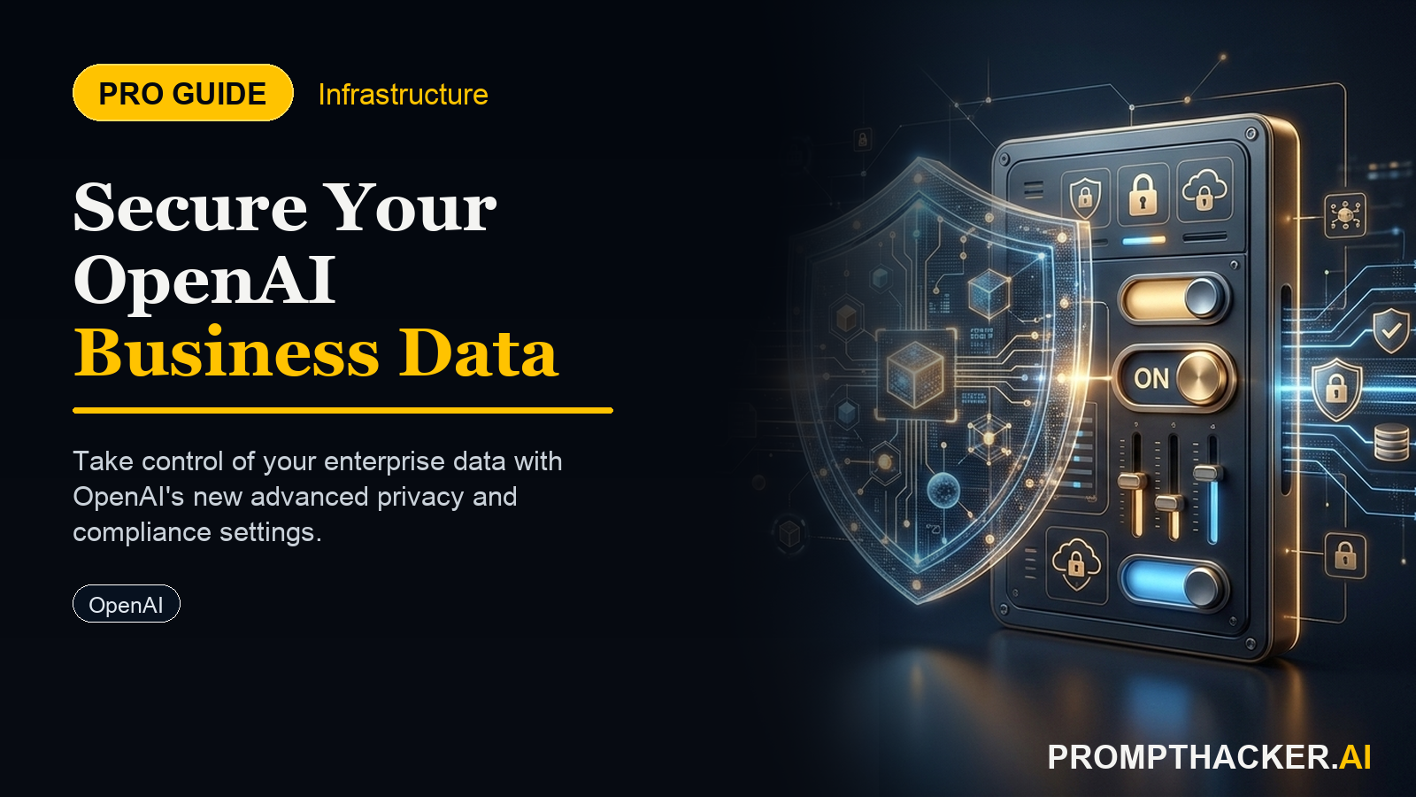 openai business advanced data privacy controls